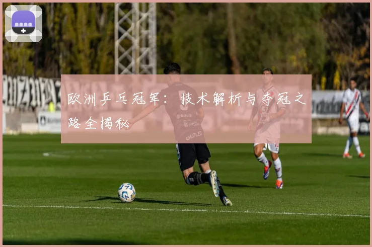 欧洲乒乓冠军:技术解析与夺冠之路全揭秘