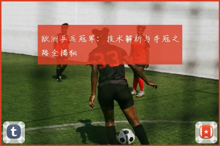 欧洲乒乓冠军：技术解析与夺冠之路全揭秘